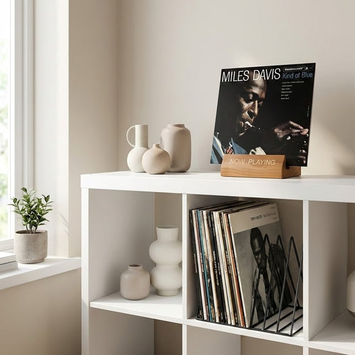 The Complete Vinyl Experience Bundle (Valentine's Edition)