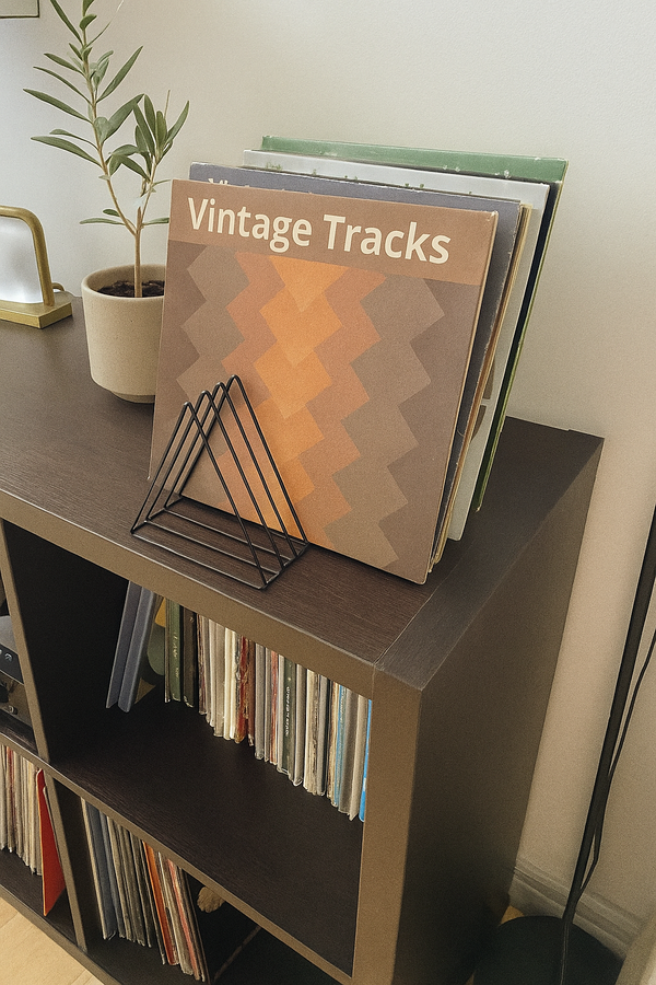 Een klein, zwart metalen lp-rek met een selectie vinylplaten erin, staand op een donkerbruine platenkast die gevuld is met een grote platencollectie.